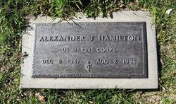 Alexander J Hamilton 