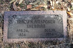 Tracy K <I>Balfe</I> Amspoker Sherman 