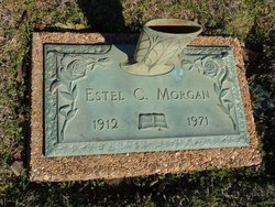 Estel Cobb Morgan 