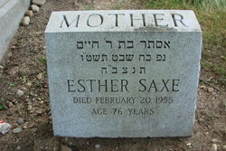 Esther <I>Feinstein</I> Saxe 