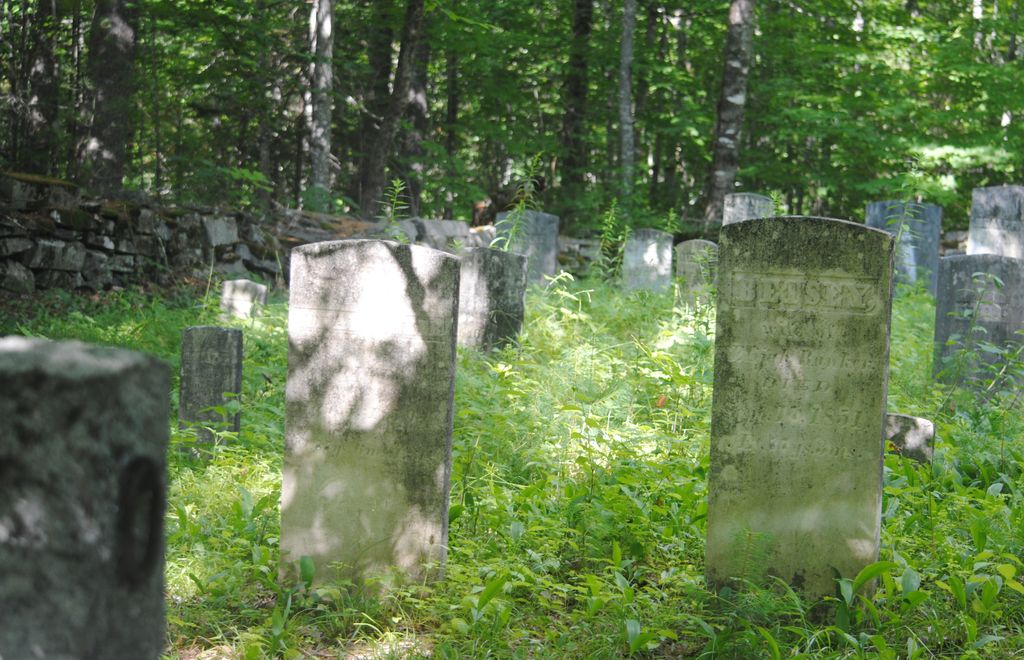 Gray/Paine Cemetery