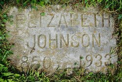 Elizabeth <I>Davison</I> Johnson 
