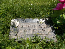 Sherene Hatch 