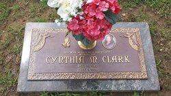 Cynthia M Clark 