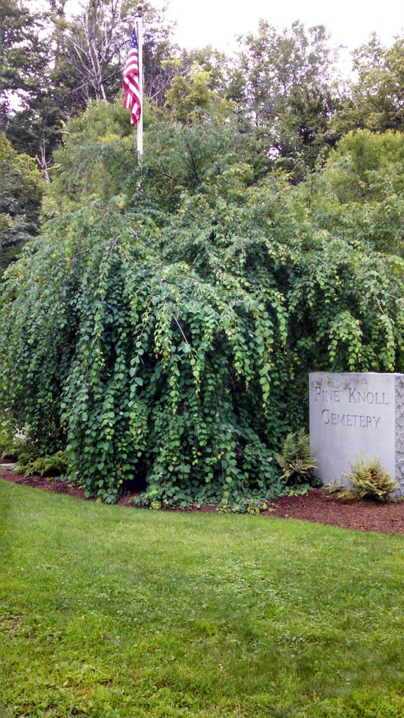 Pine Knoll Cemetery