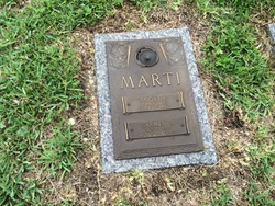 Carmen J. Marti 