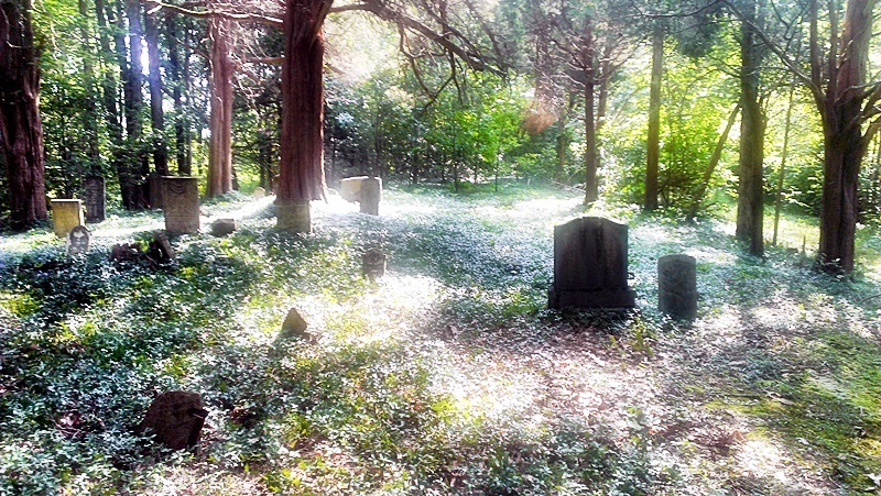 Baird Family Cemetery