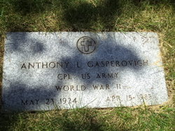 Anthony L Gasperovich 