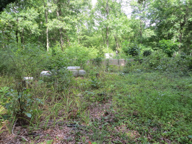 Old Beech River Cemetery