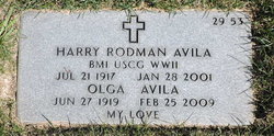 Harry Rodman Avila 