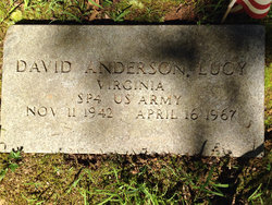 David Anderson Lucy 