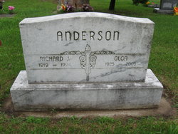 Richard J Anderson 