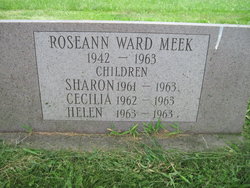 Roseann <I>Ward</I> Meek 