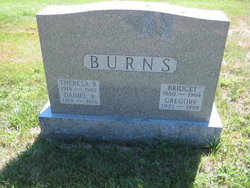 Daniel B. Burns Jr.
