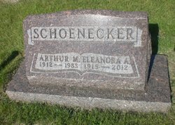 Arthur Michael Schoenecker 