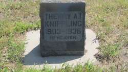 Henry E. Knippling 