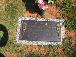 Mrs Annie Mae <I>Butler</I> Anderson 