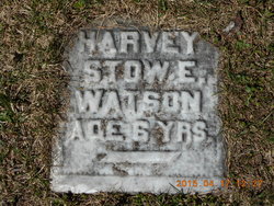 Harvey Stowe Watson 