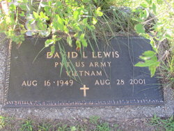 David L Lewis 