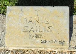 Janis Gailis 