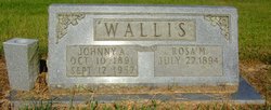 Johnny Adam Wallis 