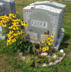 Daniel P. Gluck 