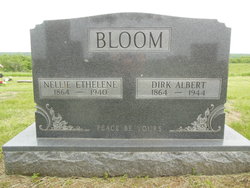 Dirk Albert Bloom 