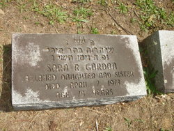 Sarah R Gordon 
