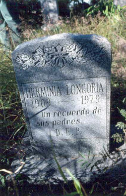Hermina <I>Longoria</I> Solis 