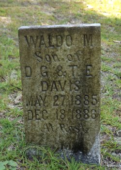 Waldo M Davis 