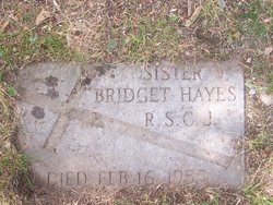 Bridget T Hayes 