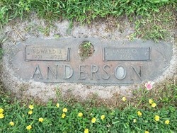 Ann Q Anderson 