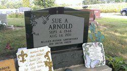 Sue Ann <I>Todd</I> Arnold 