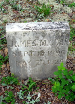James Madison Cook 