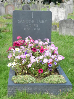 Sandor Imre Adler 