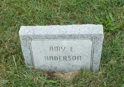 Amy Elizabeth Anderson 