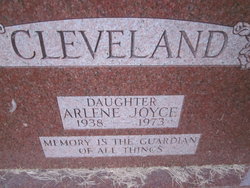 Arlene <I>Cleveland</I> Volle 