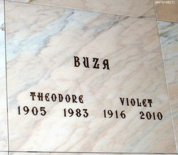 Theodore A Buza 