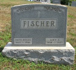 Amy E. Fischer 