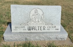 Cecilia Walter 