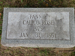 Calico Rose “Fannie” 