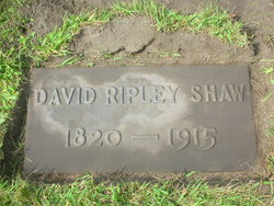 David Ripley Shaw 