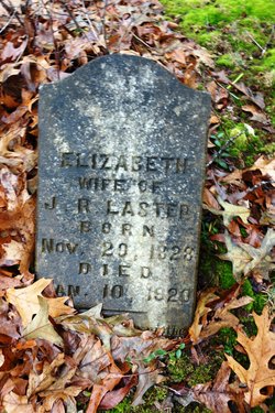Elizabeth Ann <I>Cate</I> Laster 