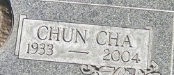 Chun Cha Park 
