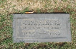 Alice Adelia <I>Willson</I> Banks 