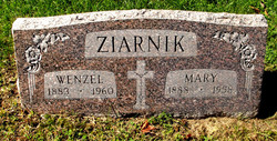 Wenzel A Ziarnik 