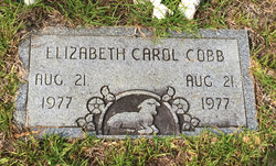 Elizabeth Carol Cobb 