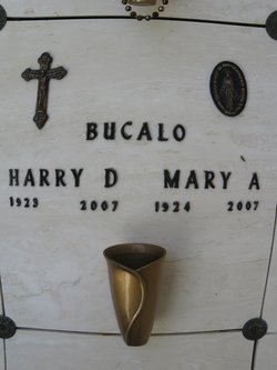 Dr Harry Dominic Bucalo Jr.