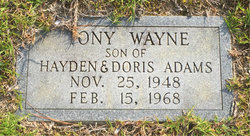 Tony Wayne Adams 