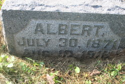 Albert Anderson 